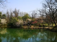 -西溪国家湿地公园