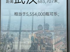 -上海环球金融中心骑迹50年环球之旅