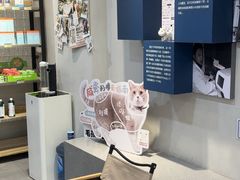-伟伟宠物医院·CT影像中心·瑞派犬猫综合性门诊(汉口总院)