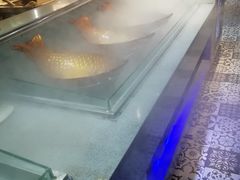 -格瑞欧海鲜自助烤肉火锅(光彩店)