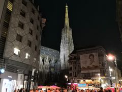 -斯蒂芬主教座堂(Stephansdom)
