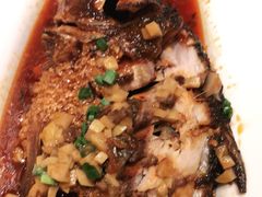 黄河大鲤鱼-宁夏国强手抓羊肉·清真菜(未央路凤三店)