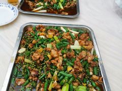 -铁山坪森林公园