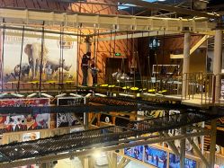 -卡通尼·Safari非洲探索乐园·生日会(金桥国际商业广场店)