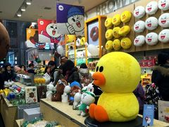 -line friends(明洞旗舰店)