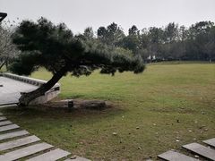 -苏州太湖国际会议中心