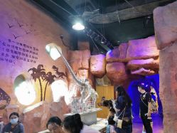 -奇幻萌宠部落(映月湖环宇城店)