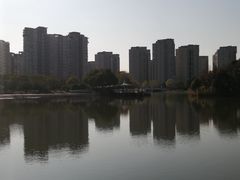 -新江湾城公园