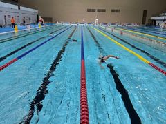 -重庆市奥林匹克体育中心-游泳跳水馆