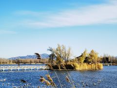 -野鸭湖国家湿地公园