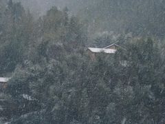 -杨家堂村
