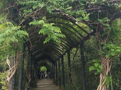 -信阳灵山风景区