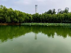 -团结湖公园