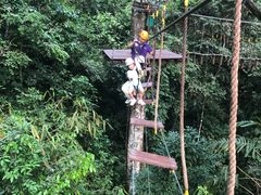 -西双版纳原始森林公园