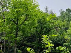 -苍龙峡风景区