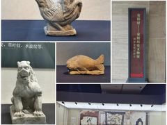 -安阳博物馆