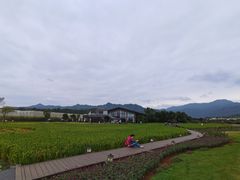 -禾悦庄餐厅