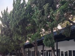 -苏州文庙(姑苏区)