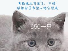 -127陈设艺术产业园-A座