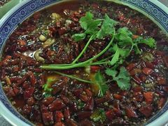 -源泉冷水鱼庄(小鱼洞店)