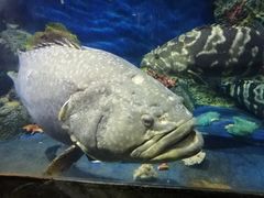 -泉州海丝野生动物世界