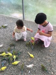 点击看大图 -萌宠亲子动物乐园(槐房万达店)