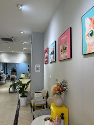 -洗脸猫·洗脸吧