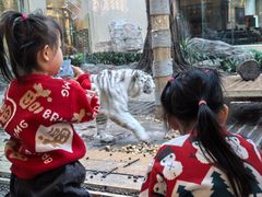 -麒麟中餐厅·经典粤菜·地道菜式老字号(广州长隆酒店)