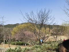 -北京西山国家森林公园