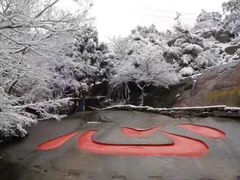 -绿姿鲜奶烘焙(新城花园店)
