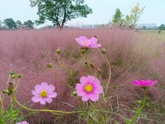 -汉长安城未央宫国家考古遗址公园