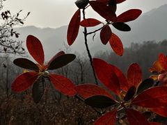-玉渡山自然风景区