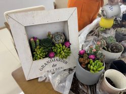 -月来悦好月子中心(东部新城店)