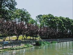 -美兰湖景区