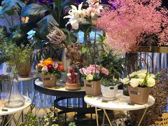 -木棉花开(中心城店)