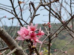 -小南山公园