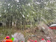 -将军关探险漂流