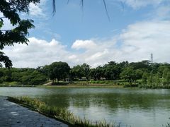 -东莞植物园