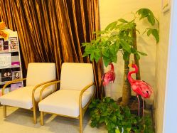 -西美医疗美容门诊部