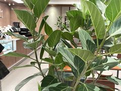 -Peet's 皮爷咖啡(深圳湾万象城店)