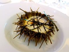 海胆-AZUR聚(香格里拉饭店)