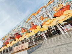 -武汉园博园(武汉自然博物馆)