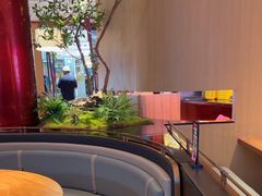 -老板恋上鱼(恒隆广场店)