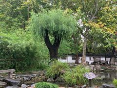 -百脉泉景区