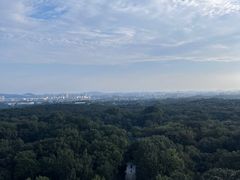 -灵谷景区