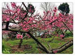 -金堂县云顶石城风景区