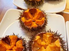 -海胆小馆(东北水饺·春柳店)