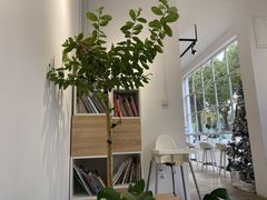 -收获咖啡HARVEST RESERVE(苍山店)