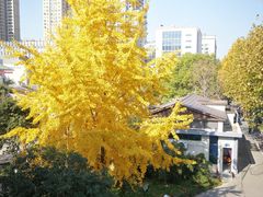 -后襄河公园