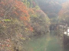 -黄花溪